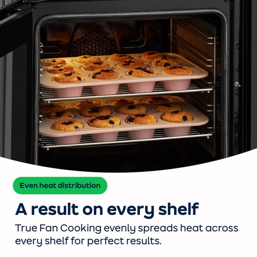 Leisure Cuisinemaster 100cm Dual Fuel Range Cooker - Stainless Steel - AO Annotation - True Fan Cooking
